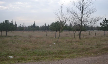 TEMA PARKI 10 YILDIR YAPILMAYI BEKLİYOR