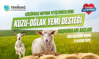 Yem Desteği Başvuruları Başladı