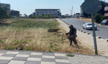 Ot Biçme Çalışmaları Sürüyor