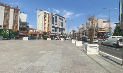Palmiye Ağaçları Bir Bir Kuruyor!